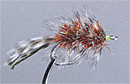 Photo Credit:  From the Orvis web site  www.orvis.com, this fly is called 'Go-To Joe'