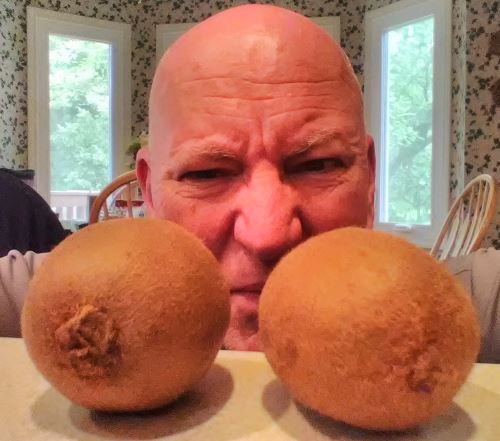 Chrome Dome Mike putting the stink eye on a couple kiwi fruit which are sitting on his counter top in Louisville, Kentucky.