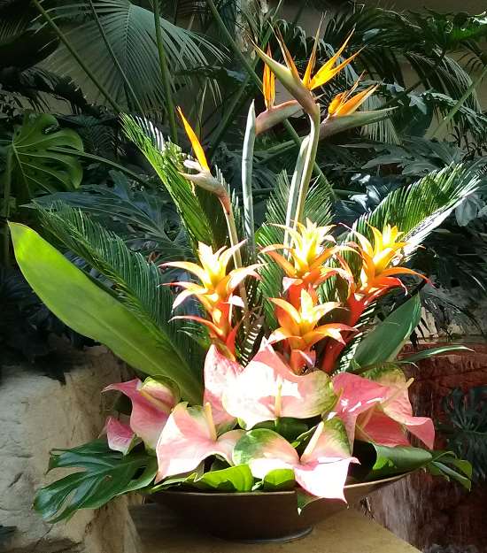 Pic of a floral arrangement on display at The Mirage Resort Casino in Las Vegas featuring the beautiful bird of paradise flower.