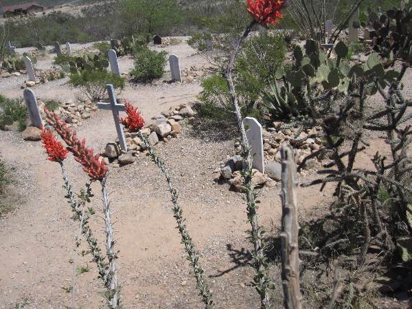 Photo of the grave sites at the Boothill Graveyard Cemetery in Tombstone, AZ.