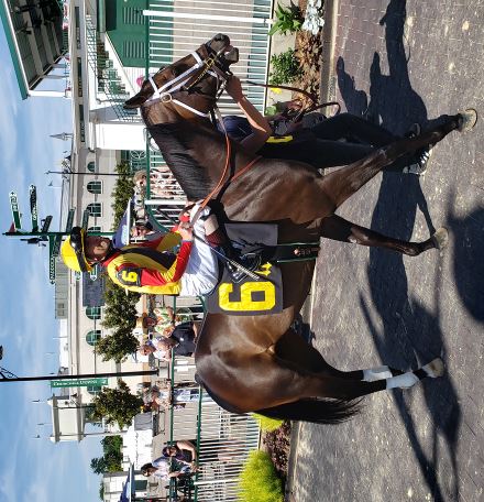 The thoroughbred horse Big Time leaving the paddock area at Churchill Downs with jocky Brian J. Hernandez, Jr in the saddle, Murray Valene Farms owner, Dallas Stewart trainer.
