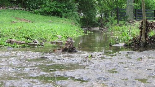 Pastoral Owl Creek after a spring rain, looking toward Anchorage, Kentucky, a suburb of Louisville.