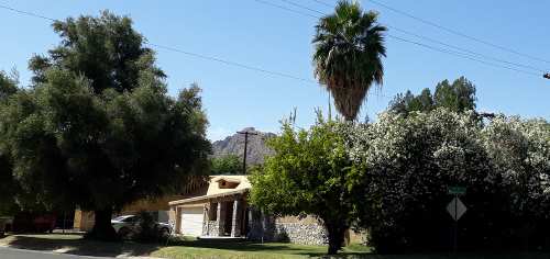 That's Piestewa Peak, formerly Squaw Peak, there in the background of this pic taken in Phoenix, Arizona.