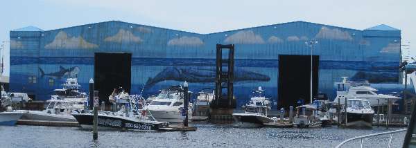 Pic of Florida's Legendary Marina which was painted by marine life artist Wyland.